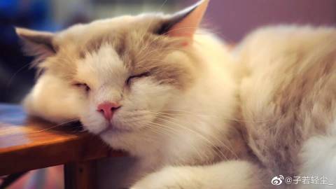 maomi在线瑟瑟成人_计划版333.4.8-第2张图片